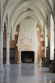 France, Indre et Loire (37), Vallée de la Loire classée Patrimoine mondial de l'UNESCO, château d'Amboise, le logis du Roi, salle du Conseil, la cheminée