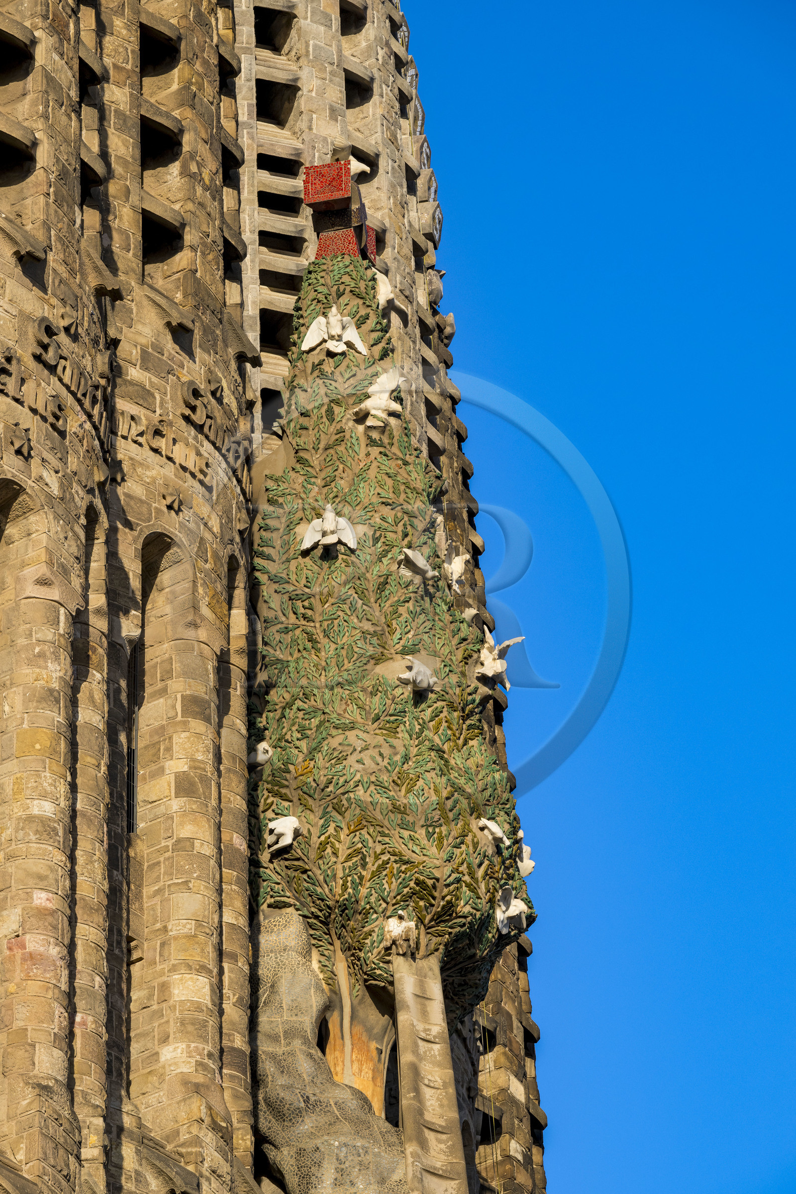 Espagne, Catalogne, Barcelone, quartier de l'Eixample, basilique de la Sagrada Familia de l'architecte du modernisme catalan Antoni Gaudi classée Patrimoine Mondial de l'UNESCO, façade de la Nativité et le cyprès symbolisant l'Arbre de la Vie