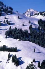 Switzerland, region of Bern (Bernese Oberland), Saanenland, ski run in Gstaad
