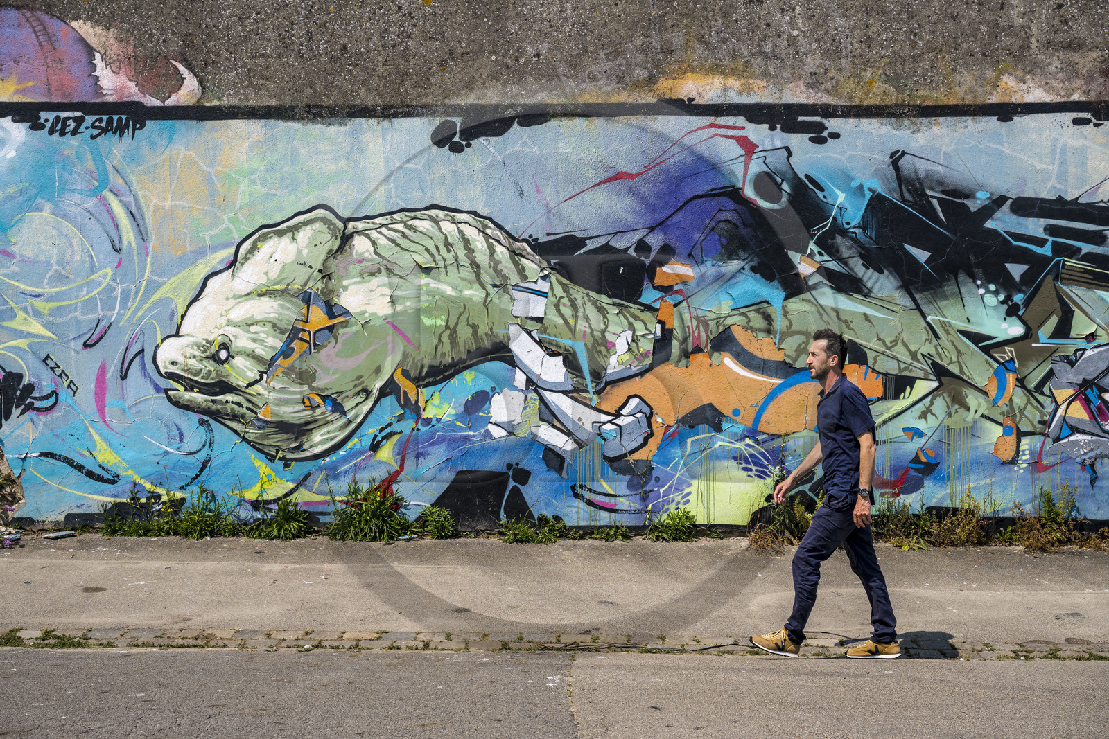 France, Morbihan (56), Lorient, peinture murale de Lez et Samp rue Florian Laporte
