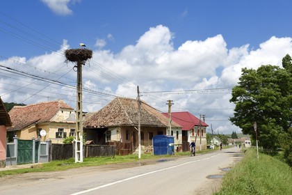 Roumanie, Transylvanie, région de Sighisoara, rue principale de Bradeni