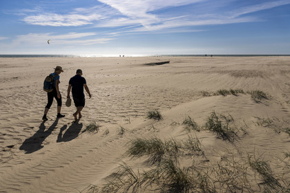 France, Vendée (85), Talmont Saint Hilaire, la Pointe du Payré, hikers on Veillon beach