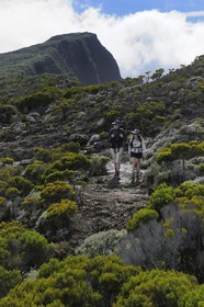 France, Reunion island (French overseas department), Piton de la Fournaise volcano, listed as World Heritage by UNESCO, hikers on the trail at the top of the Enclos