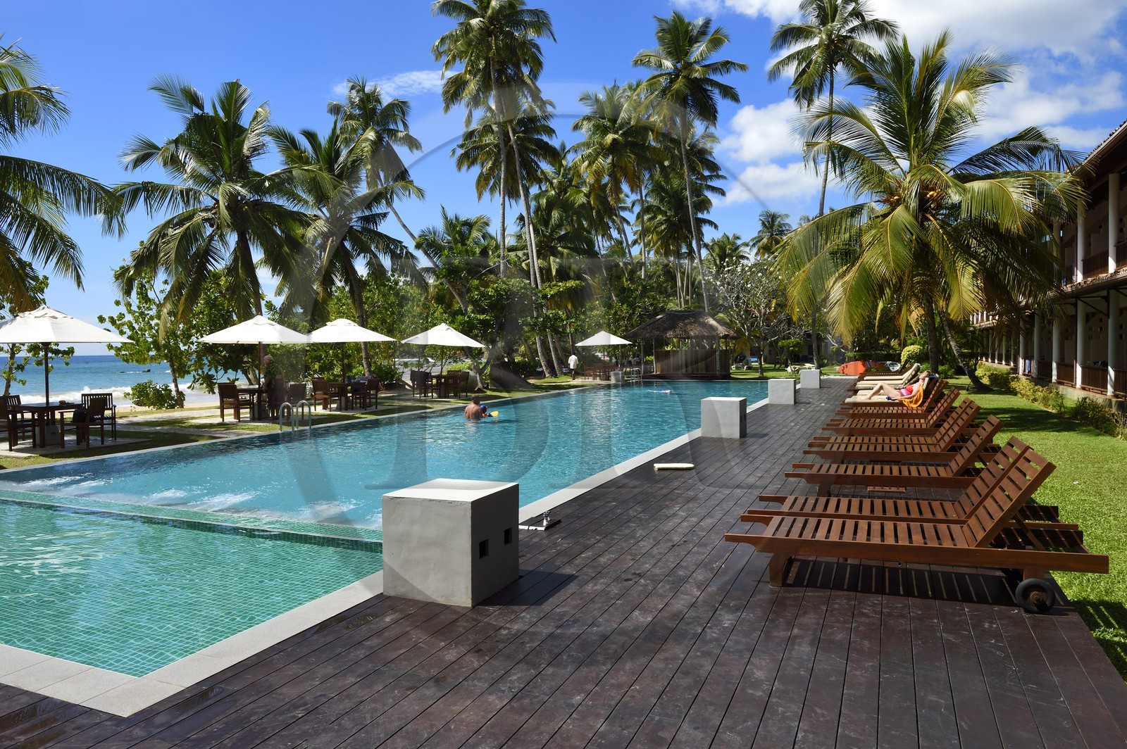 Sri Lanka, Province du Sud, Weligama, plage de Mirissa, Paradise Beach Club hotel Sri Lanka, Province du Sud, Weligama, plage de Mirissa, Paradise Beach Club hotel