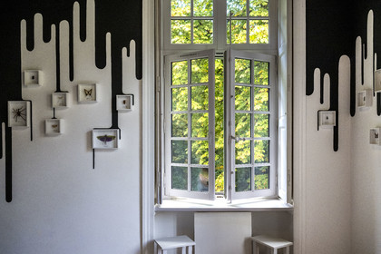 France, Loire Atlantique, Saint Jean de Boiseau, contemporary art collection Estuary, guest rooms which are Artists' Rooms at Chateau du Pé, room Is it safe to send messages to extra-terrestrials? created by Mrzyk and Moriceau