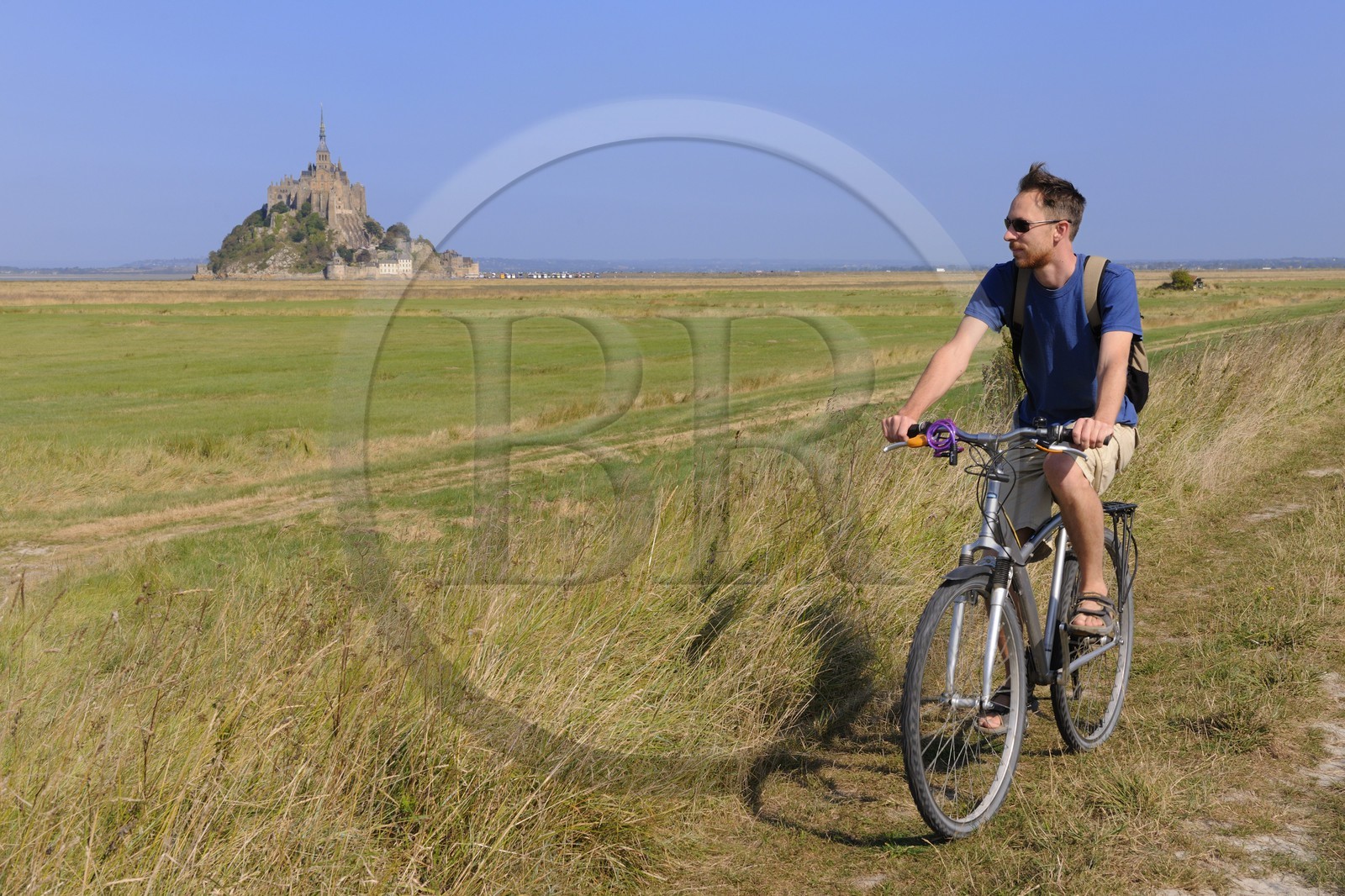 France, Ille-et-Vilaine (35), le Mont-Saint-Michel depuis la digue des polders