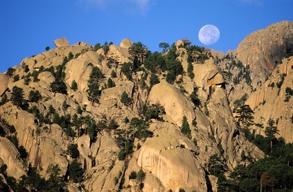 France, Corse du Sud, Alta Rocca, needles of Bavella at full moon