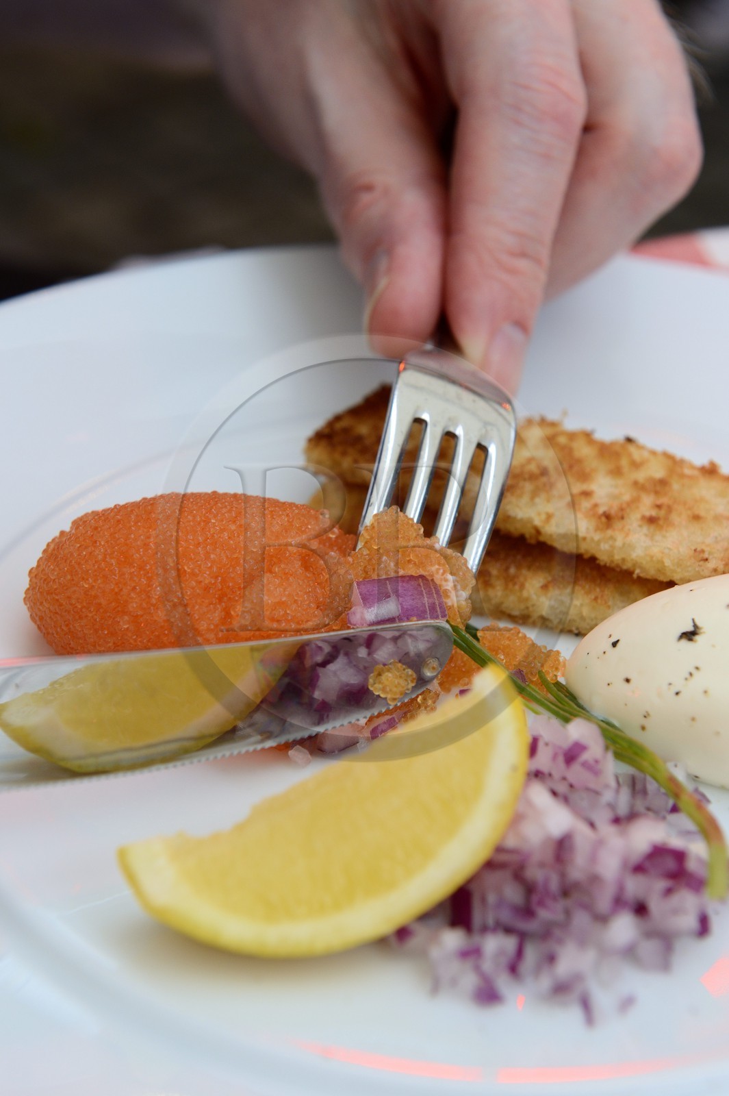 Suède, Comté de Vasterbotten, Umea, restaurant Rex, oeufs d'ablette et toast