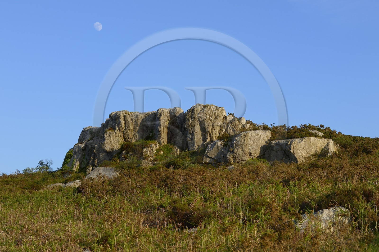 France, Finistère (29), parc naturel régional d'Armorique, Monts d'Arrée, rocher des exorcismes druidiques du marais du Yeun-Elez menant au Youdig (une des portes de l'enfer)