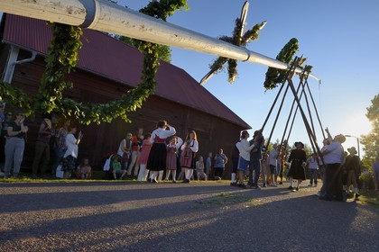 Sweden, Dalarna County, Leksand area, Midsummer celebrations in the tiny hamlet of Hjulbäck, uprising the maypole