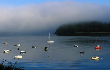 France, Finistère (29), rade de Brest, estuaire de l' Aulne dans les brumes matinales à Landévennec
