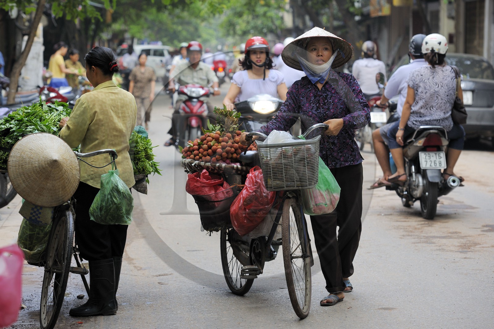 Vietnam, Hanoï, vieille ville, marchandes de quatre saisons à vélo