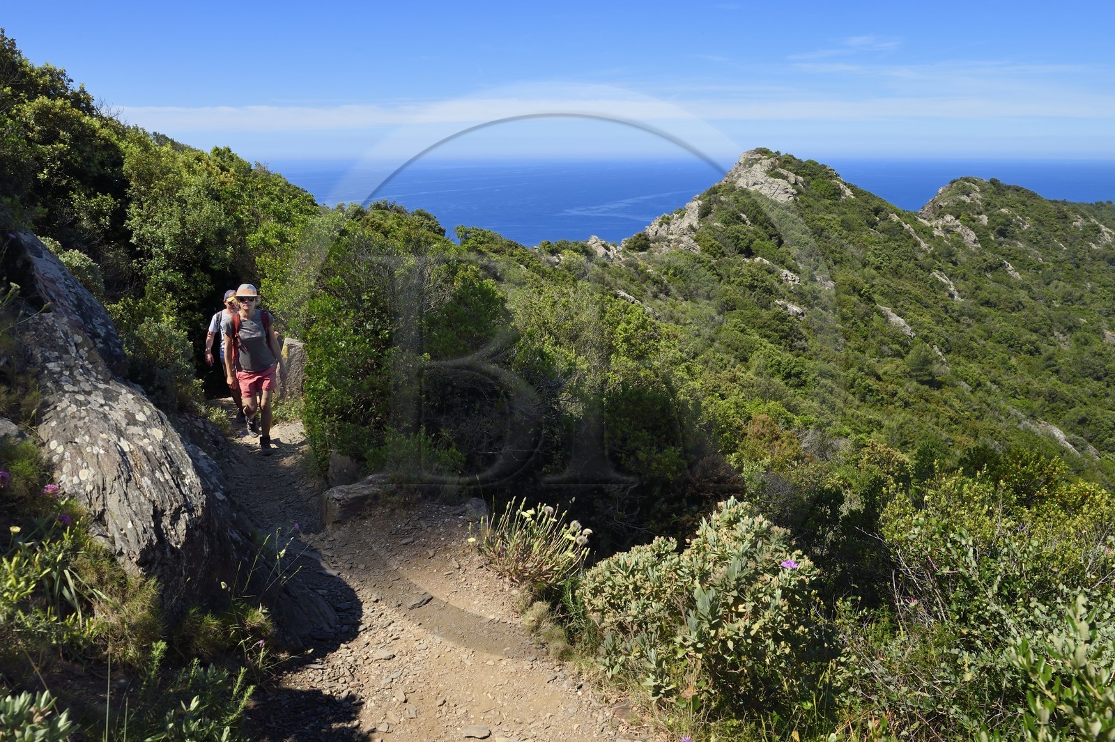 France, Var, Six Fours les Plages, hike in the Cap Sicie massif, hikers on the Roumagnan crest trail
