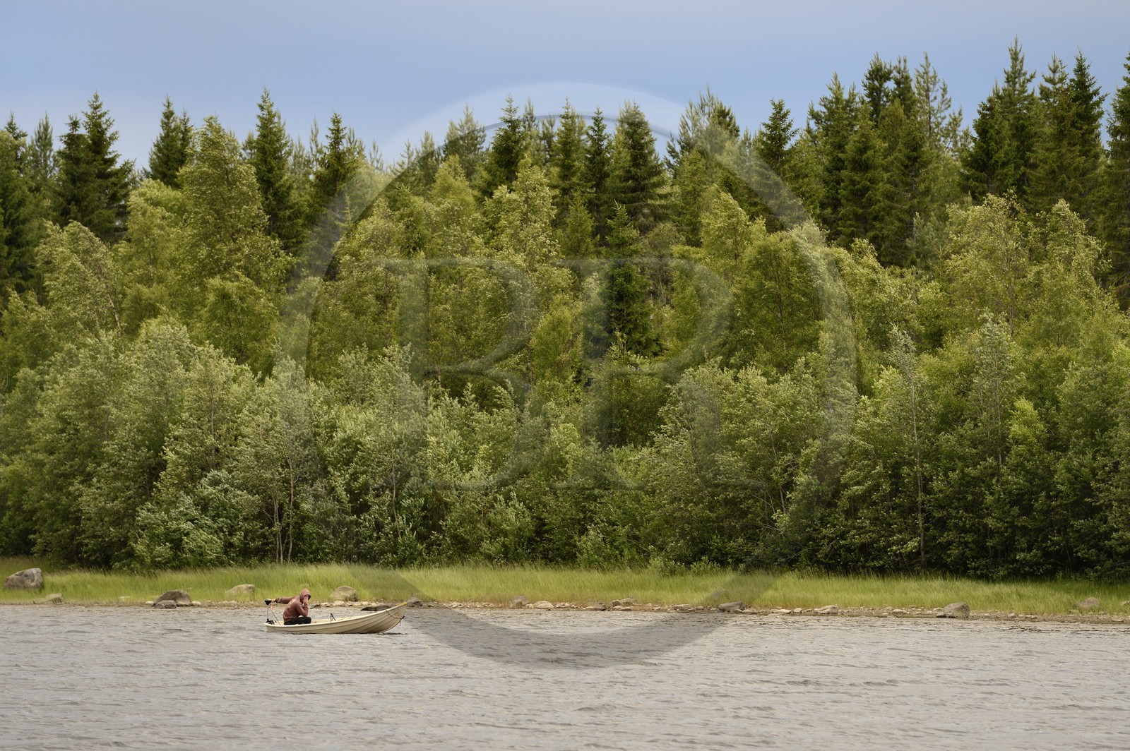 Suède, Comté de Vasterbotten, Umea, canot remontant la rivière Ume (Umeälven)