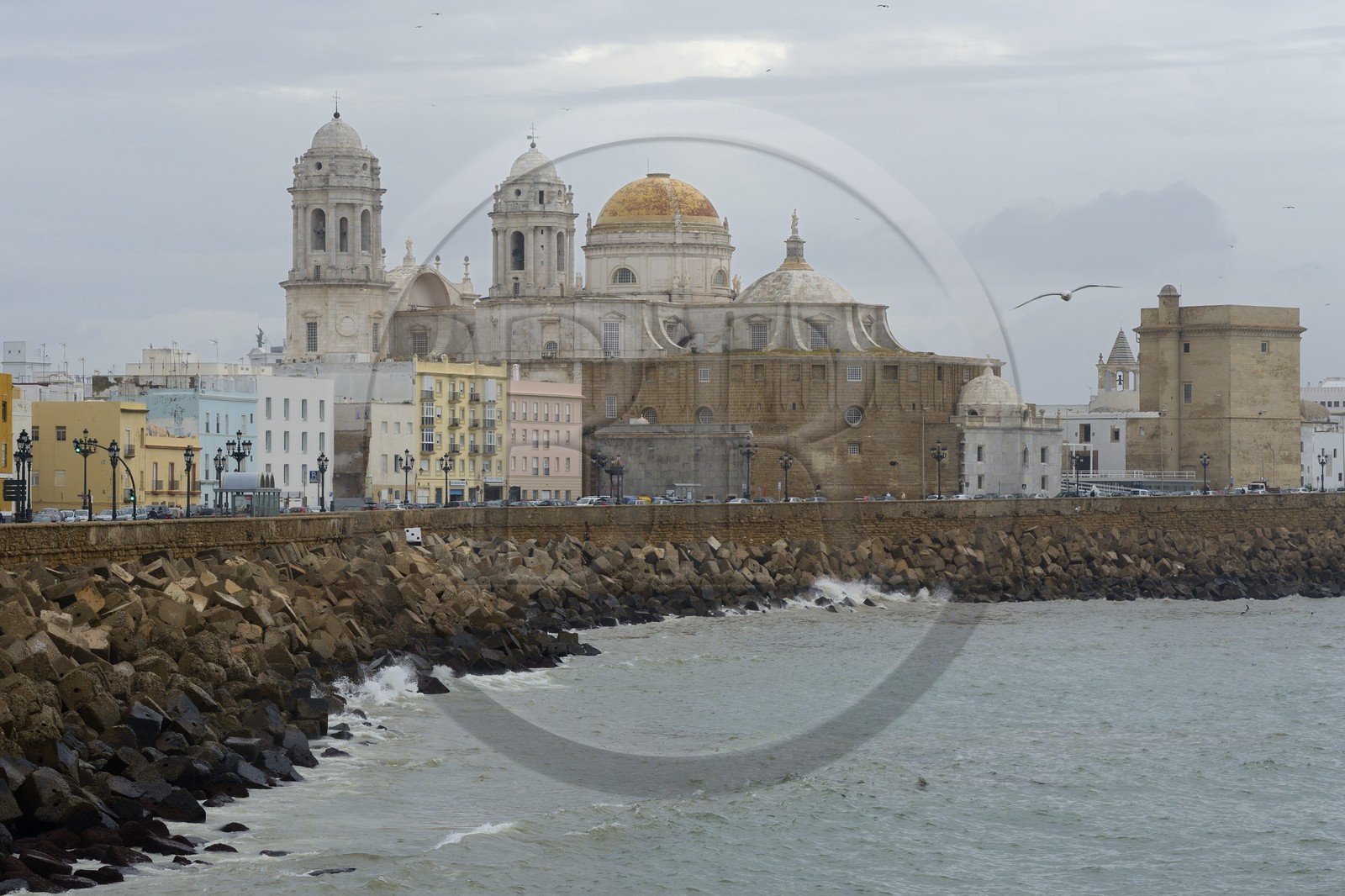 Espagne, Andalousie, Cadix (Cadiz), la cathédrale et la calle Campo Sur