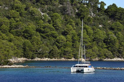 Croatia, Dalmatia, Dalmatian coast, Island of Mljet, trimaran sailing ship in the National Park of Mljet towards Polace