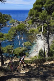 France, Var, Six Fours les Plages, hike in the Cap Sicie massif, Mont Salva beach towards Le Brusc