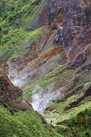 Caraïbes, Ile de la Dominique, Castle Bruce, Parc national du Morne Trois Pitons classé Patrimoine Mondial de l'UNESCO, la Vallée de la Désolation avec fumerolles et sources d'eau chaude, randonnée sur le sentier menant au Boiling Lake
