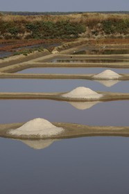 France, Loire-Atlantique (44), la Presqu'île de Guérande, tas de sel dans les marais salants
