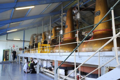 United Kingdom, Scotland, Inner Hebrides, Islay Island, Port Ellen, Laphroaig Scotch whisky distillery, Wash distillation in Pot Stills copper alambics