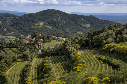 France, Vaucluse, Dentelles de Montmirail mountains, the terraced vineyard around the village of Suzette