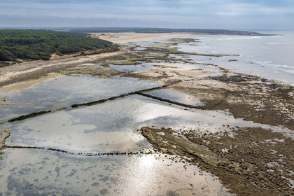 France, Vendée (85), Talmont-Saint-Hilaire, murs de la pêcherie en ruine sur l'estran du Veillon et la Pointe du Payré en arrière plan (vue aérienne)