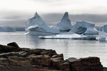 Groenland, cote ouest, Ile de Disko, baie du village de Qeqertarsuaq, icebergs dans la brume