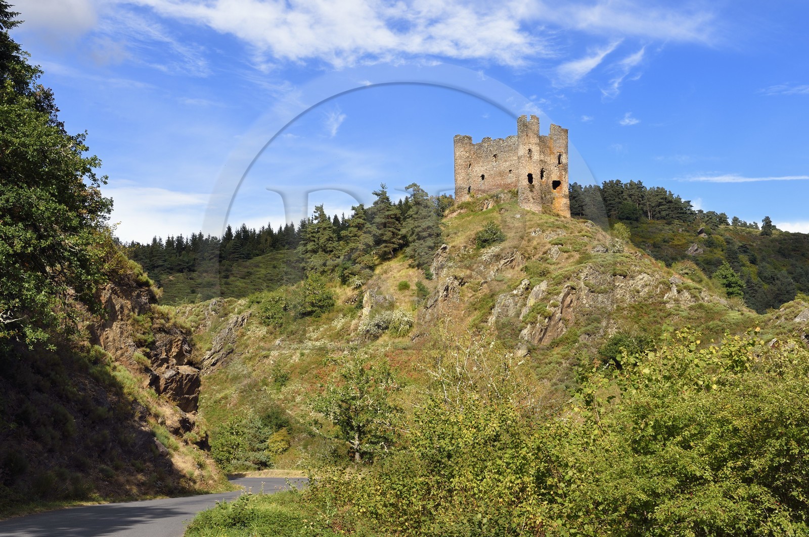 France, Cantal (15), Gorges de la Truyère, Alleuze, ruines féodales perchées du château fort d'Alleuze du XIIIe siècle reconstruit en 1405
