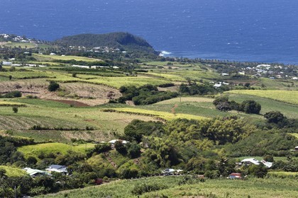France, Ile de la Reunion, Petite Ile, champs de cannes à sucre vers Anse-les Bas vus depuis le piton de Mont Vert