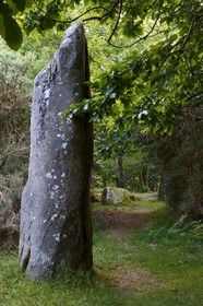 France, Morbihan, Moustoir-Ac, Kerara Menhir