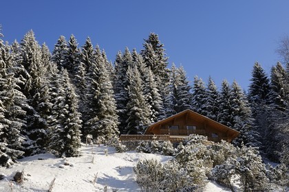 Switzerland, Canton of Vaud, Villars sur Ollon, chalet in the snow