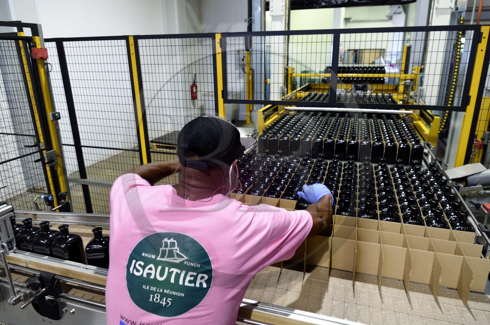 France, Ile de la Reunion, Saint Pierre, domaine de la distillerie Isautier, usine d'embouteillage et d'étiquetage