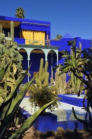 Morocco, High Atlas, Marrakech, Imperial city, Gueliz district, Majorelle Garden founded in 1931 by the French painter Jacques Majorelle in 1980 and bought by Yves Saint Laurent and Pierre Berge