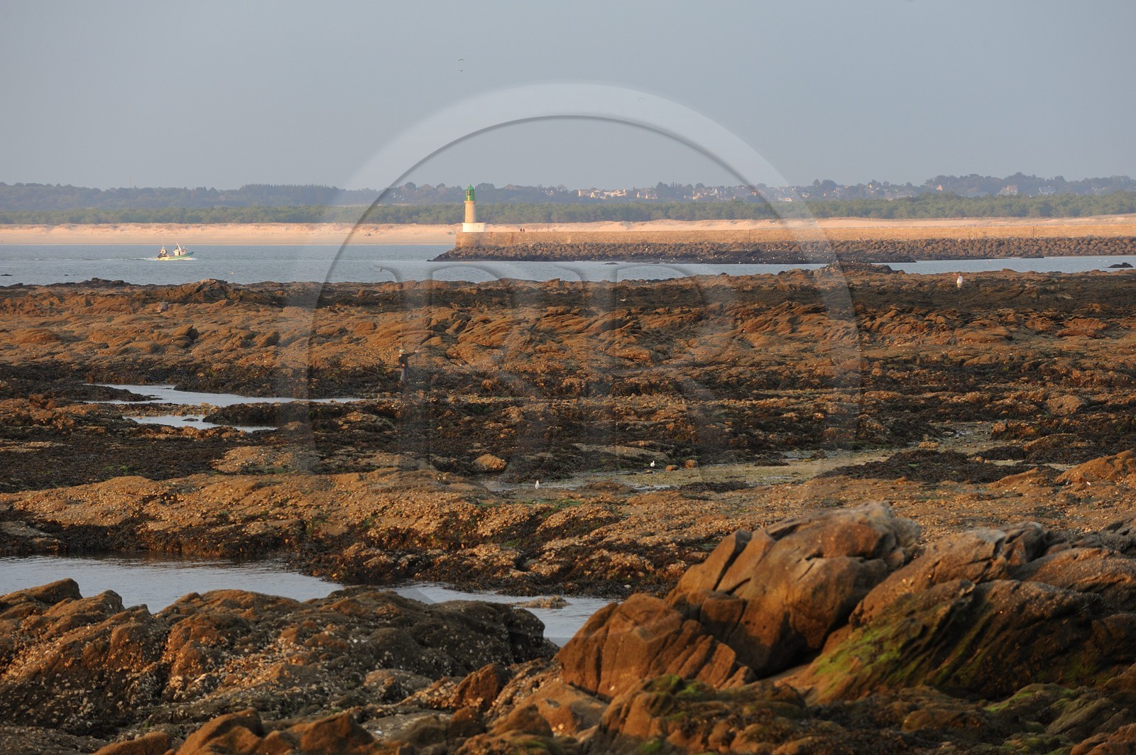 France, Loire-Atlantique (44), Le Croisic, la côte sauvage