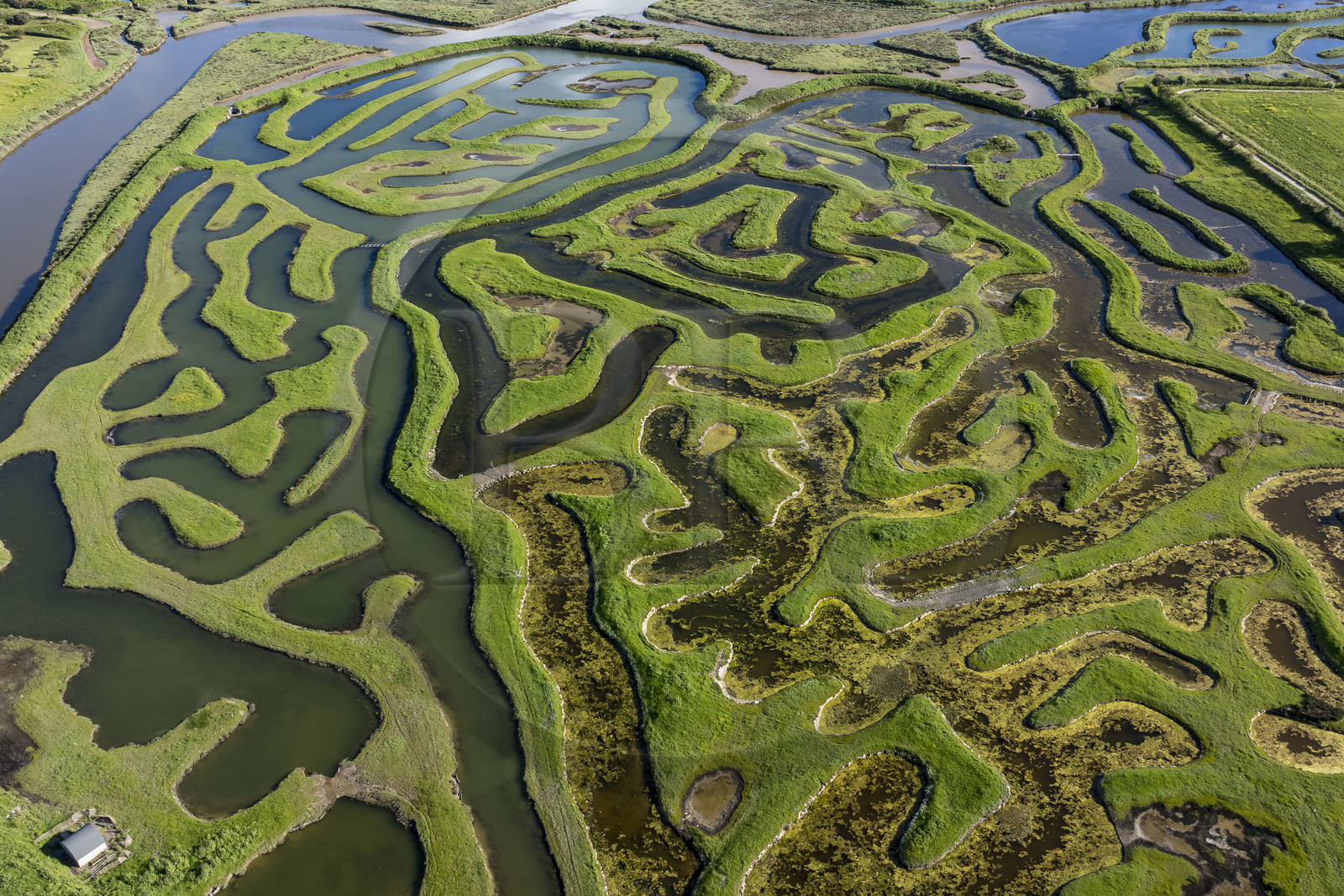 France, Vendée (85), Talmont Saint Hilaire, Guittière marshes in the hinterland of Pointe du Payré, Passage du Cul d’Ane, marshes developed for fish farming of sea bream, mullet and eels (aerial view)