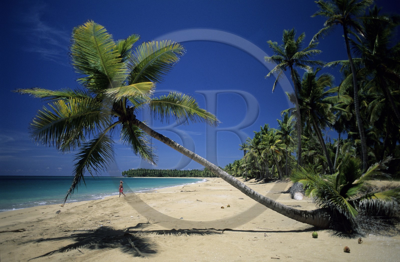 République Dominicaine, péninsule de Samana, plage sauvage et déserte El Limon près de Miches