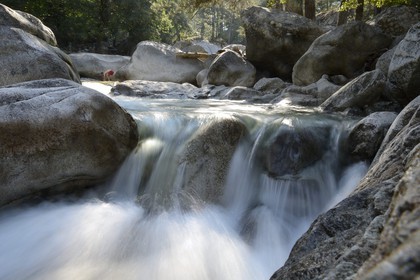 France, Haute-Corse (2B), Corte, Vallée de la Restonica