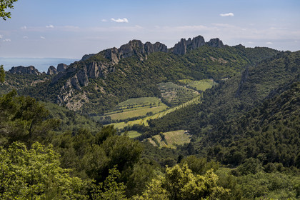 France, Vaucluse, Dentelles de Montmirail mountains, the mountain of the Dentelles Sarrasines and the terraced vineyards