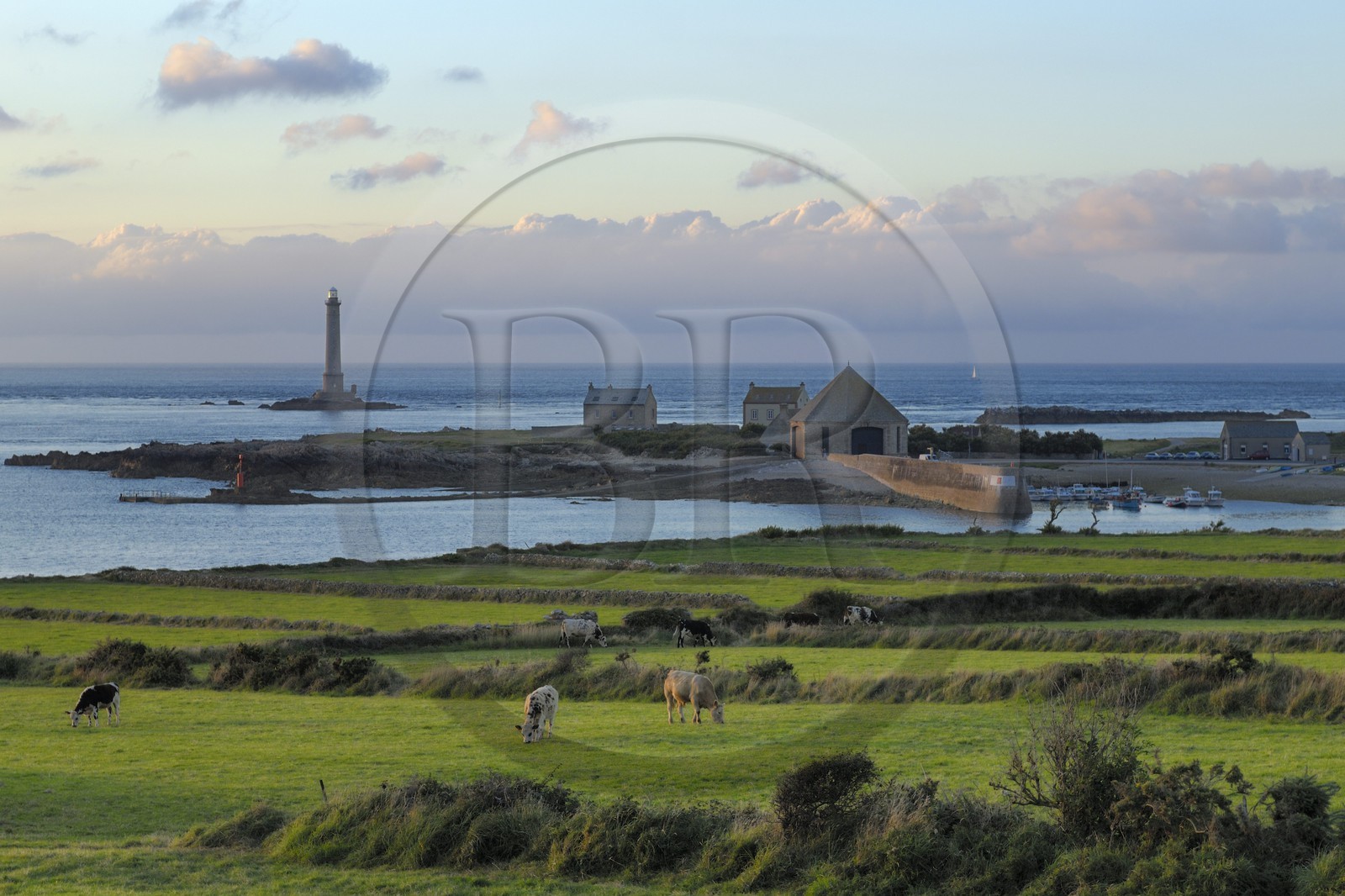 France, Manche (50), Cap de la Hague, le phare du petit port de Goury