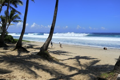 France, Reunion Island (French overseas department), southern coast, Grande Anse beach