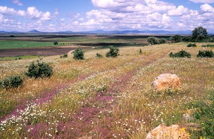 Espagne, Estrémadure, paysage de la plaine au nord de Don Benito, vue de la Sierra del Villar