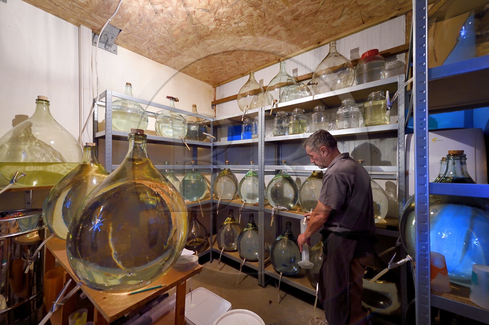 France, Ile de la Reunion, La Saline, La Part des Anges Distillation, reserve et vieillissement des eaux de vie en bonbonnes de verre, prélèvement pour pesée d'alcool France, Ile de la Reunion, La Saline, La Part des Anges Distillation, reserve et vieillissement des eaux de vie en bonbonnes de verre, prélèvement pour pesée d'alcool