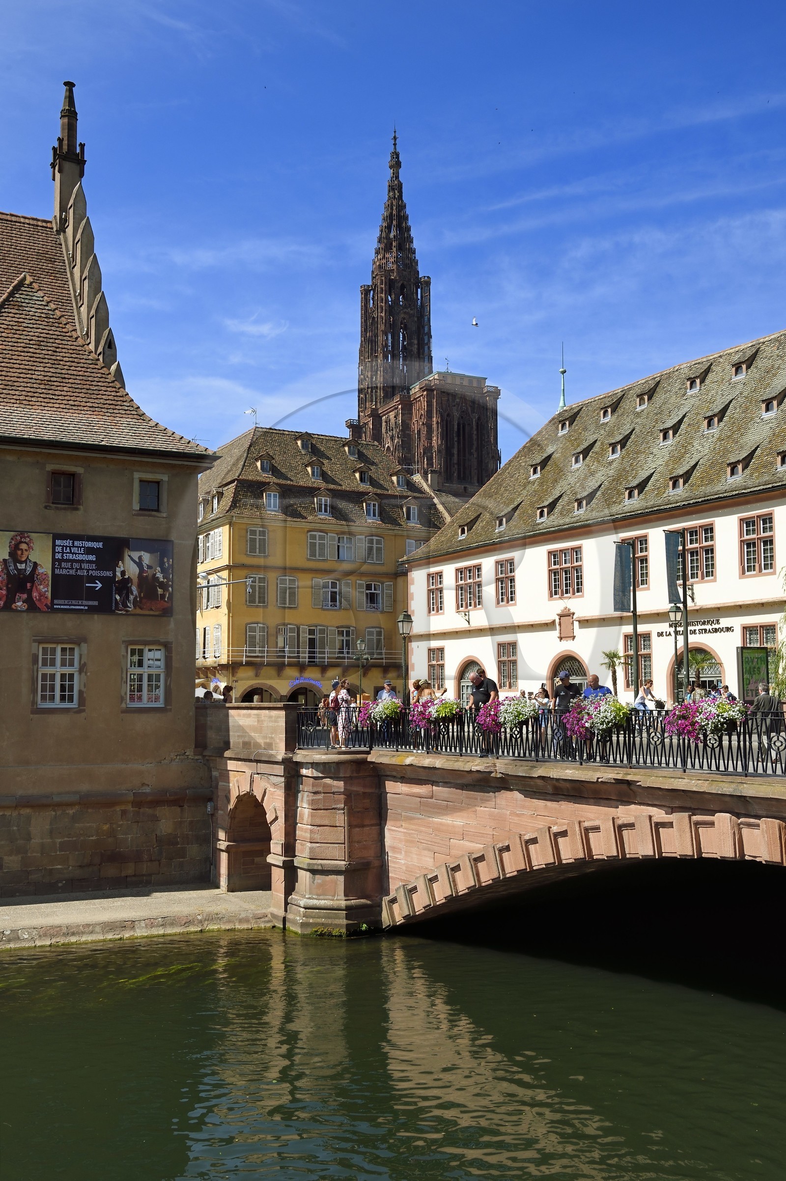 France, Bas-Rhin (67), Strasbourg, vieille ville classée au Patrimoine Mondial de l'UNESCO, la cathédrale Notre-Dame et le musée Historique (ancienne Grande Boucherie) sur les bords de l'Ill