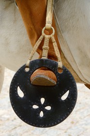 Argentine, province de Buenos Aires, San Antonio de Areco, fête du Jour de la Tradition (Dia de la Tradicion), étrier traditionnel en cuir