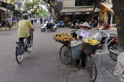 Vietnam, Hanoï, vieille ville, marchande de fruits (ananas victoria) à vélo