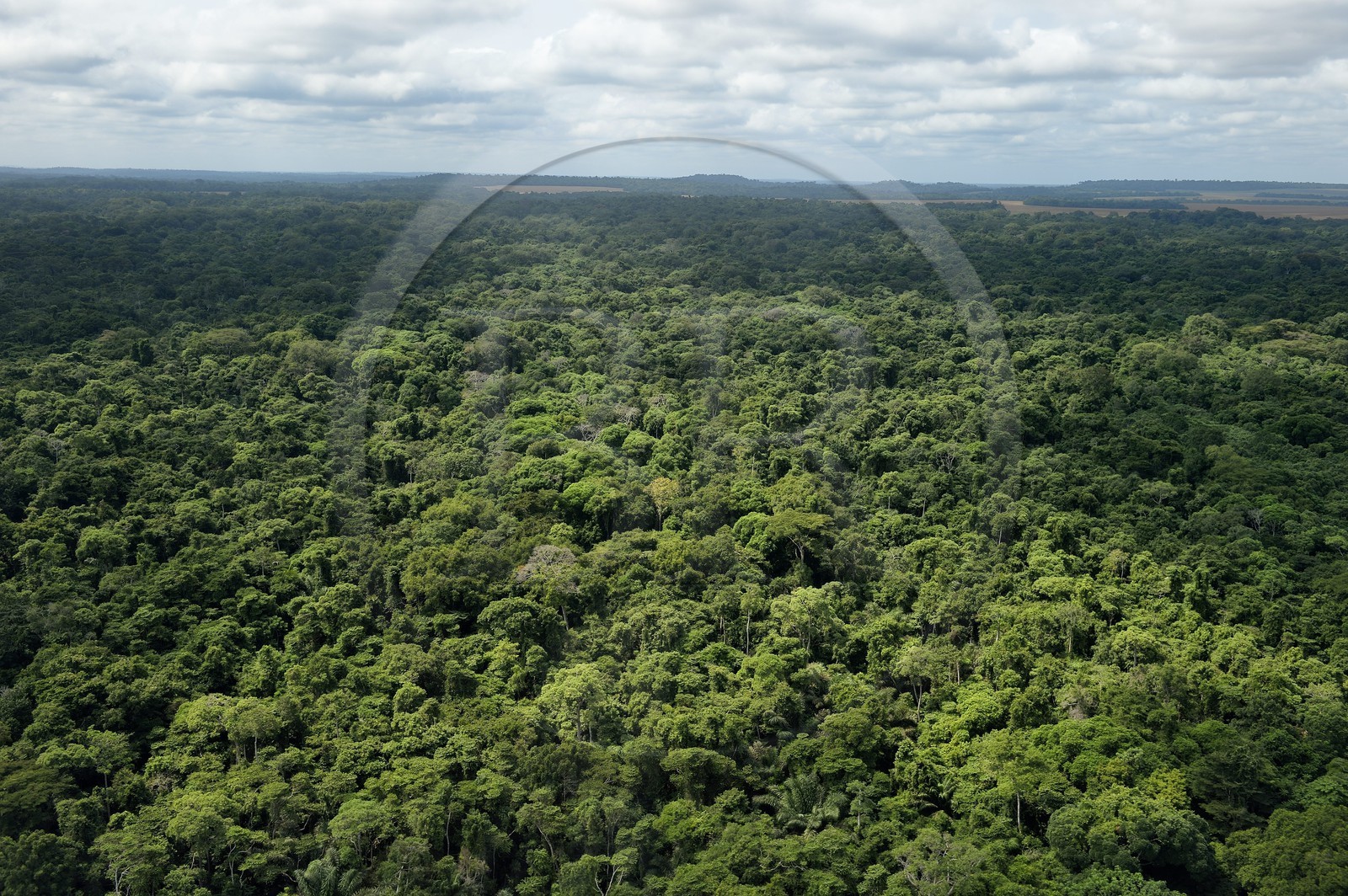 Gabon, Province de Ogooué-Maritime, Parc National Wonga Wongue (vue aérienne)