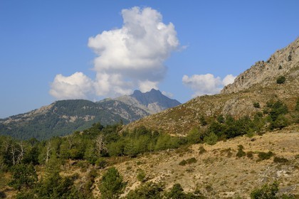 France, Haute-Corse (2B), région du Niolu (Niolo) vers Calasima plus haut village de Corse (1 095m)
