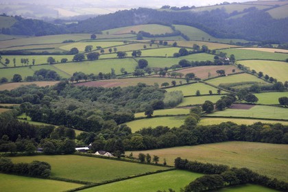Royaume-Uni, Angleterre, Somerset, champs et foret dans la région de Wiveliscombe (vue aérienne)