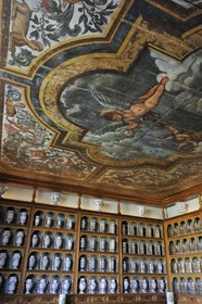 France, Saône et Loire (71), Tournus, l'Hôtel-Dieu, l'apothicairerie