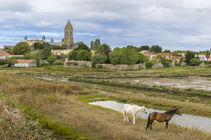 France, Vendee, Noirmoutier island, Noirmoutier-en-l'Ile, the marshes of Müllembourg, the castle and the church of Saint-Philbert
